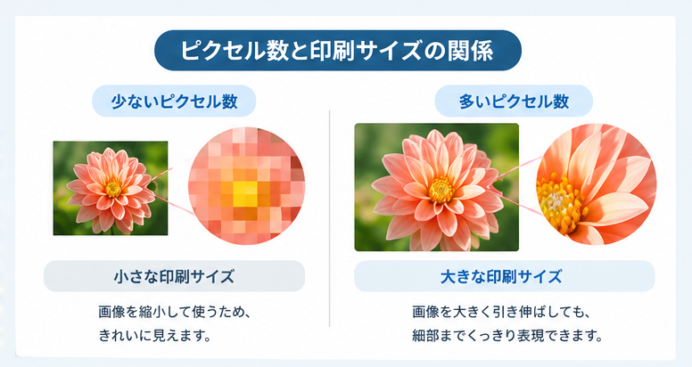 画像のピクセル数と印刷サイズの関係を示した比較図。ピクセル数が少ないと拡大時に粗く見えることを、花の画像で説明している。